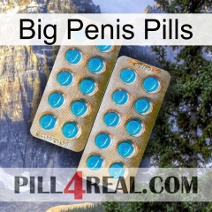 Big Penis Pills new08